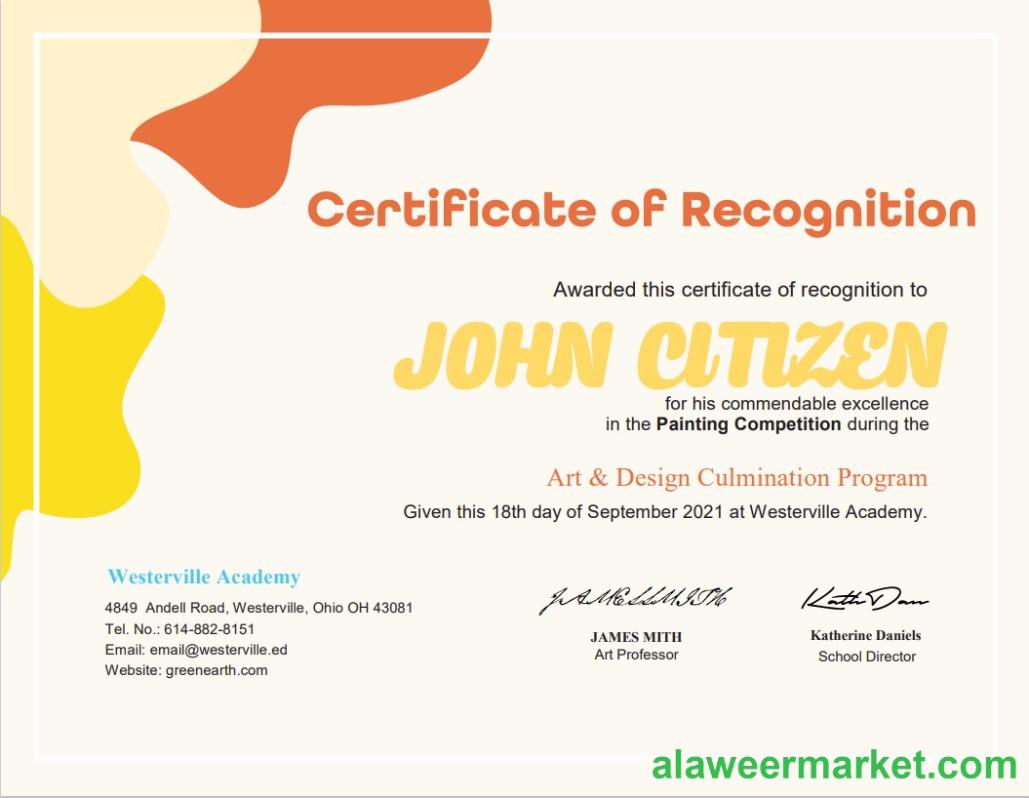 USA Painting Award cert